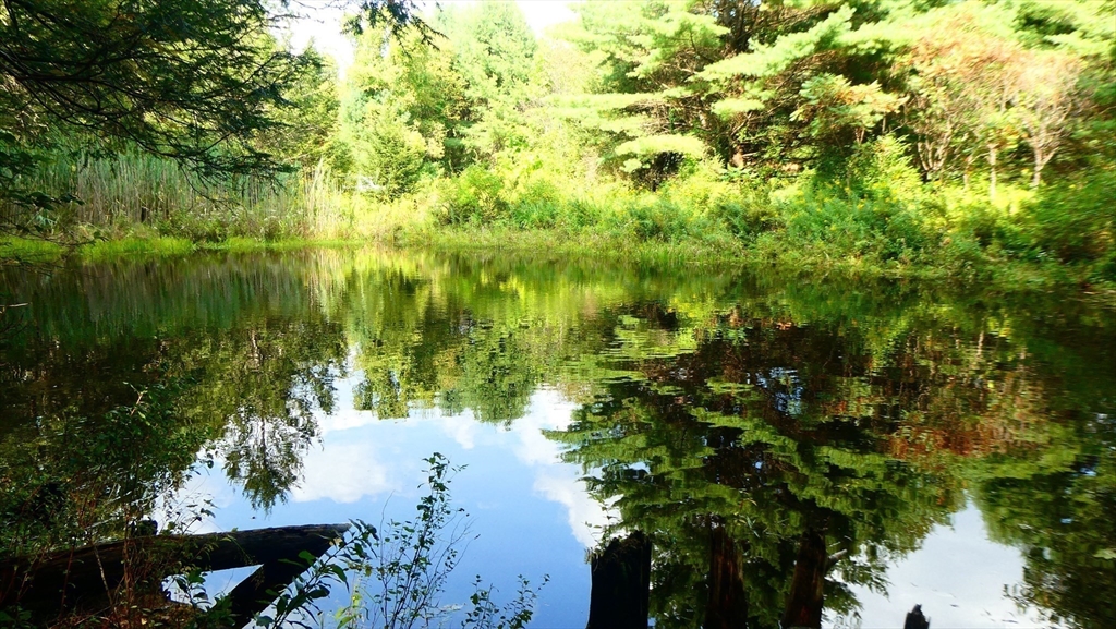 155 River Road Worthington, MA 01098 - Photo 25 of 29 a view of lake with green space