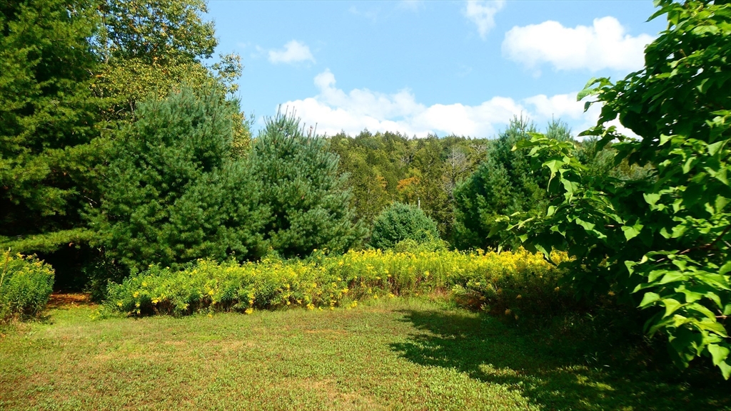 155 River Road Worthington, MA 01098 - Photo 28 of 29
