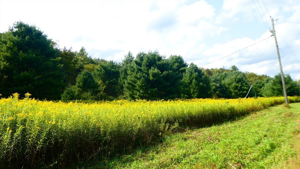 155 River Road Worthington, MA 01098 - Photo 29 of 29