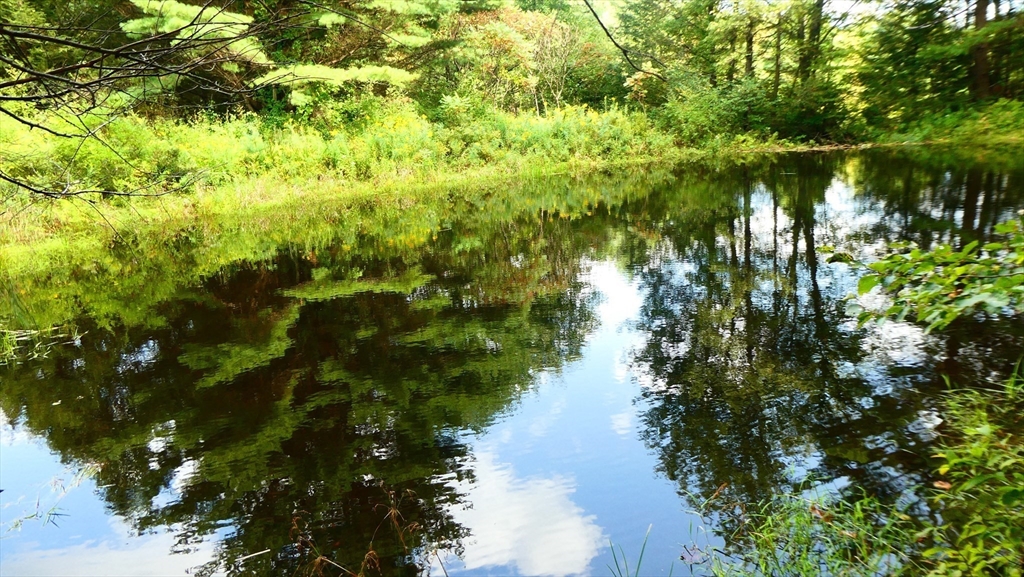 155 River Road Worthington, MA 01098 - Photo 3 of 29 a view of a lake