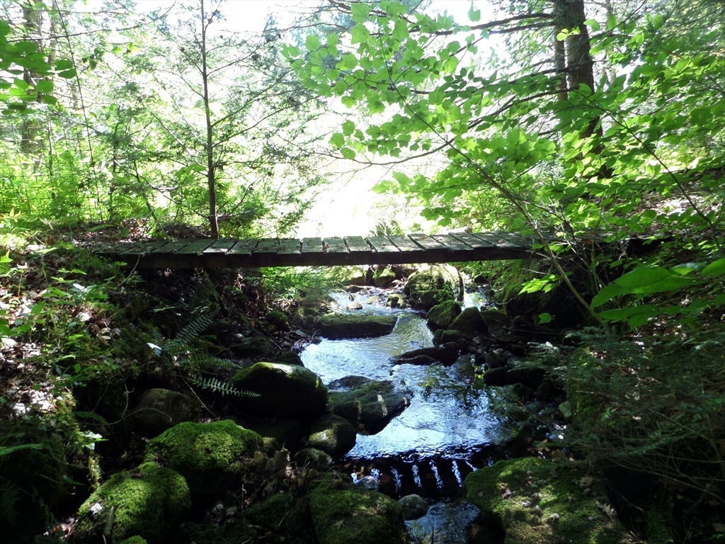 155 River Road Worthington, MA 01098 - Photo 5 of 29