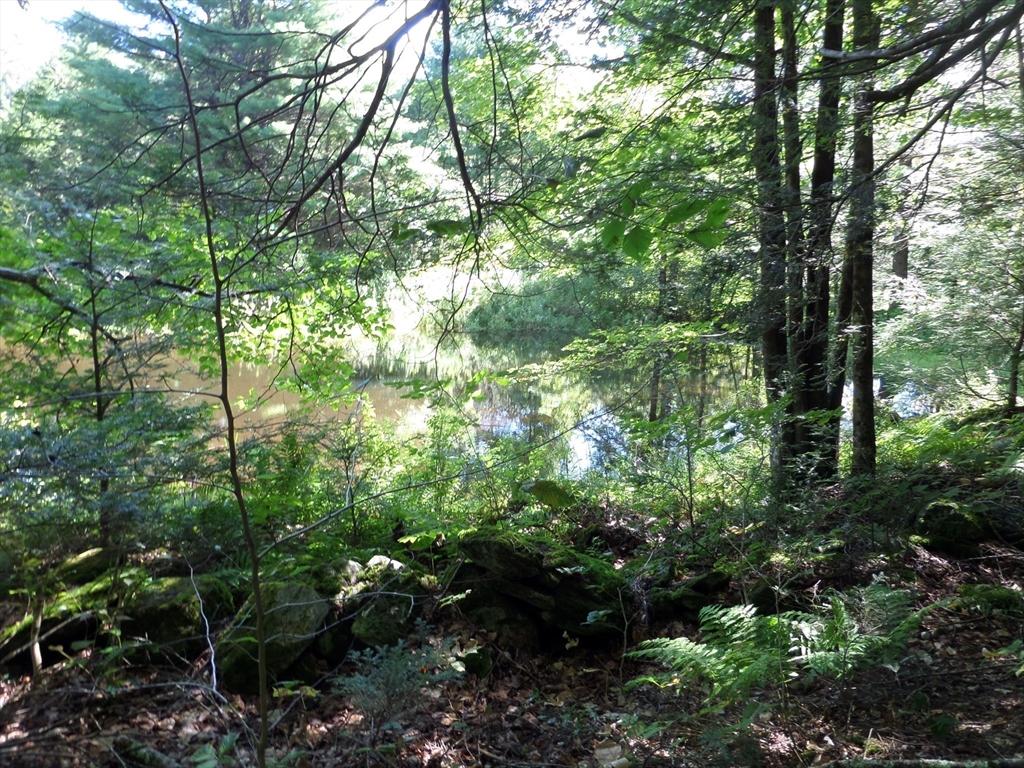 155 River Road Worthington, MA 01098 - Photo 6 of 29 a backyard of a house with lots of green space