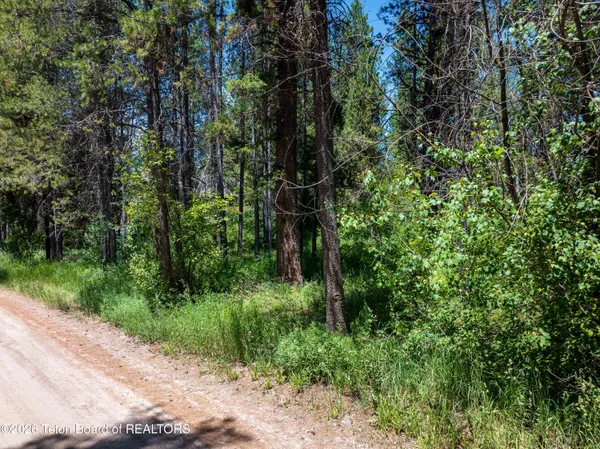 $335,000 | Lot 19 Pine Street, Alpine, WY 83128
