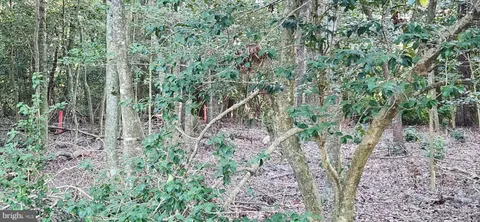 a view of an outdoor space with a lake view