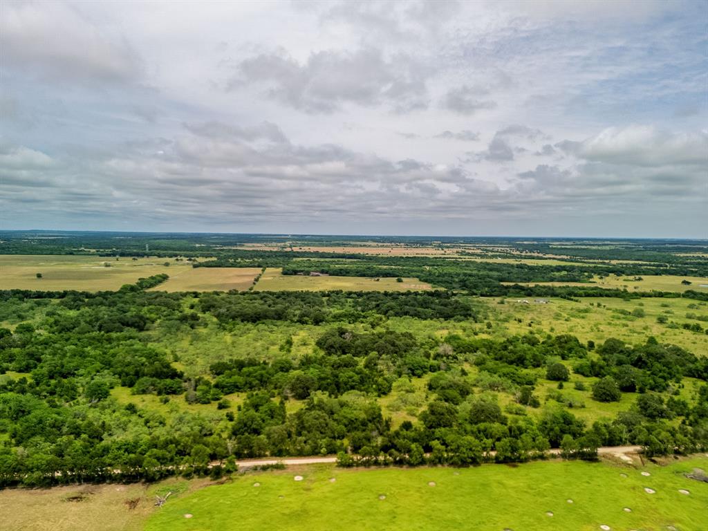 3 County Road 178 Riesel, TX 76682 - Photo 12 of 35 a view of a big yard with lots of green space and deers