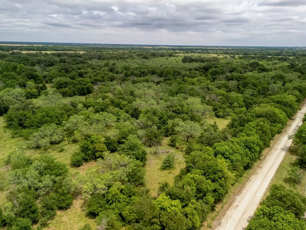 3 County Road 178 Riesel, TX 76682 - Photo 25 of 35 a view of a field of grass and trees