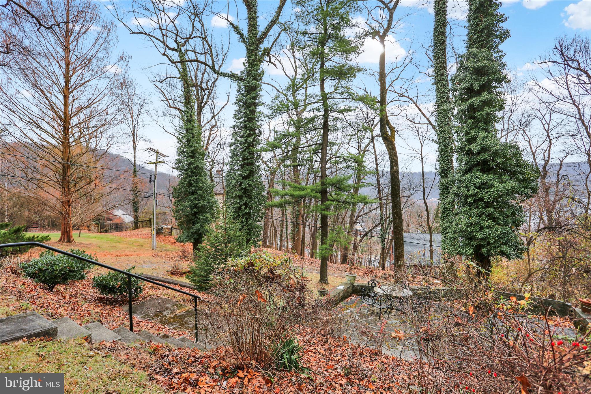 1810 Holly Road Reading, PA 19602 - Photo 45 of 52 a backyard of a house with lots of green space