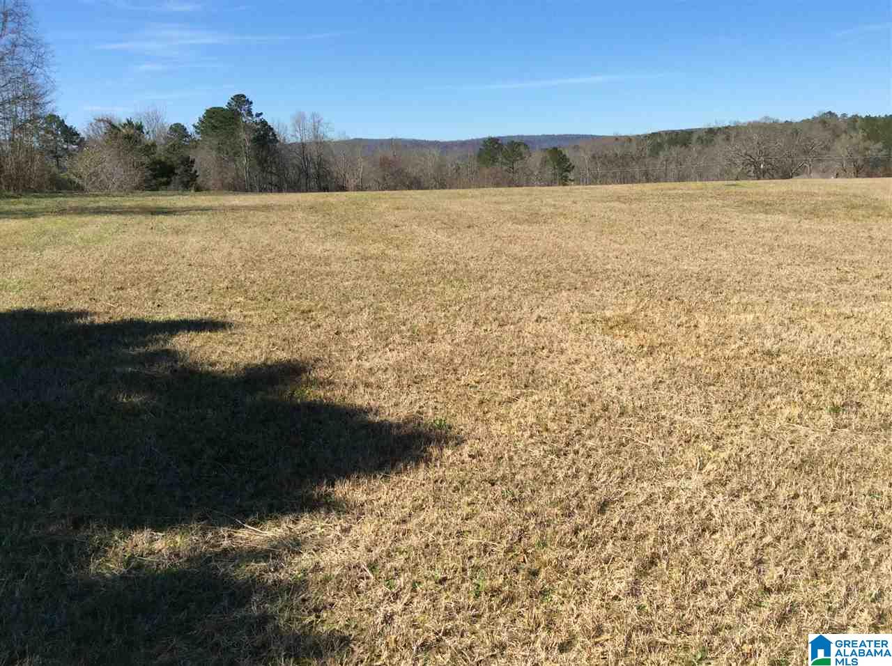 0 Coats Bend Road, Unit 1 Gadsden, AL 35901 - Photo 17 of 20