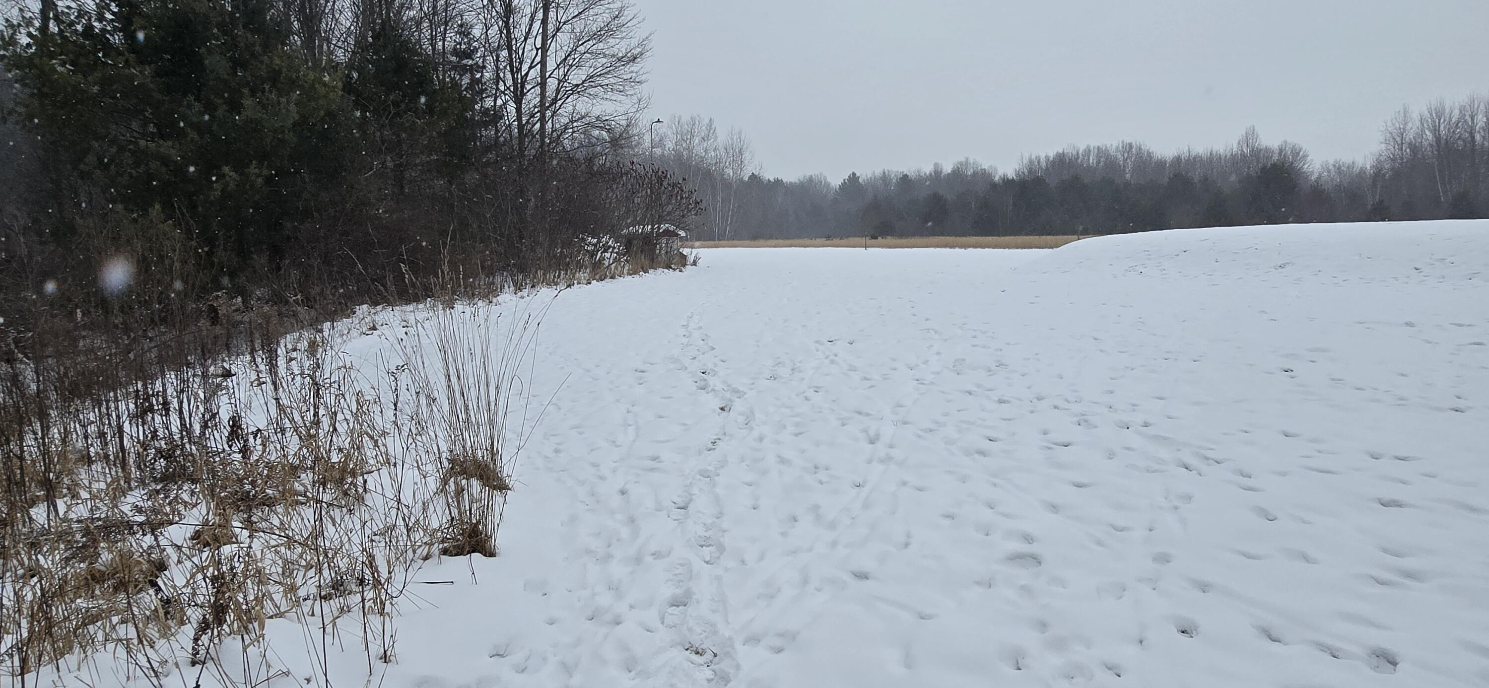 6020 Wilson Road Fruitport, MI 49415 - Photo 52 of 71 1000003239