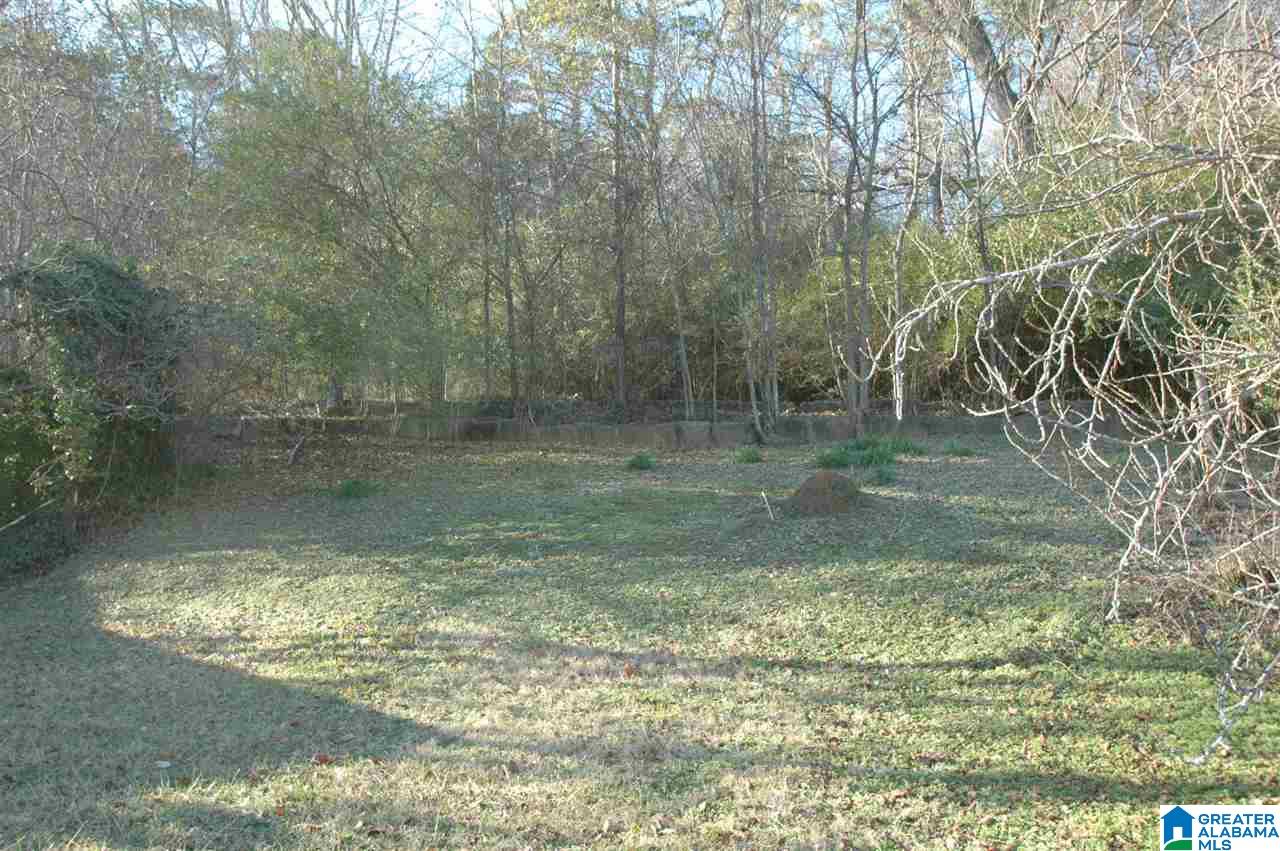 State Road Oneonta, AL 35121 - Photo 2 of 3
