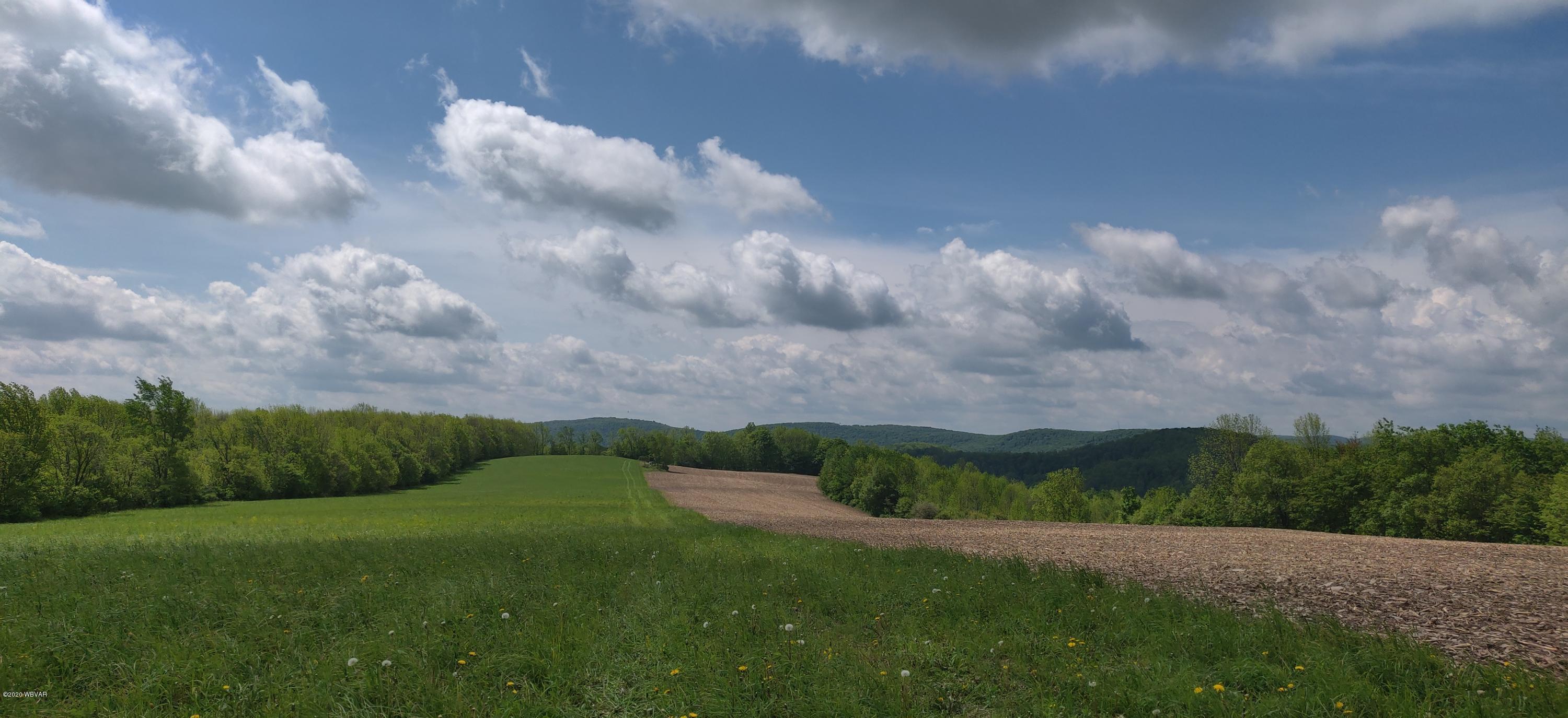 Rietter Hill Road Westfield, PA 16950 - Photo 12 of 24 Gallery Image 12