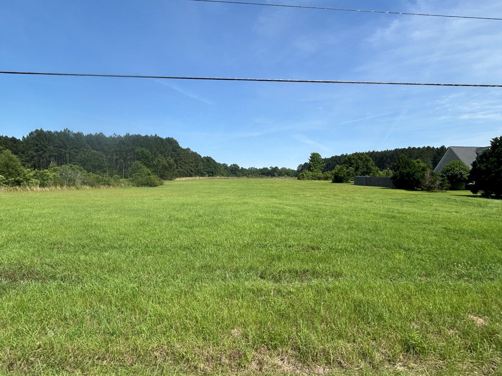 2807 Eddins Road Dothan, AL 36301 - Photo 2 of 7