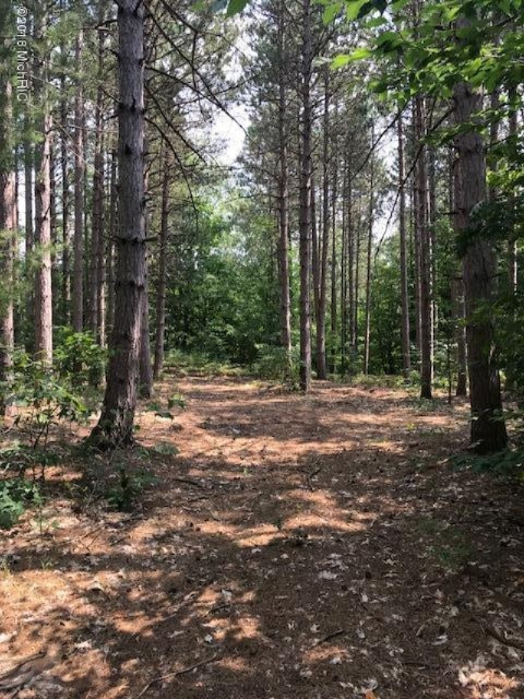 2922 East Garfield Road Hesperia, MI 49421 - Photo 13 of 21 20180815145447089580000000-o