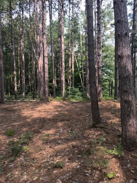2922 East Garfield Road Hesperia, MI 49421 - Photo 5 of 21 20180815145409870575000000-o
