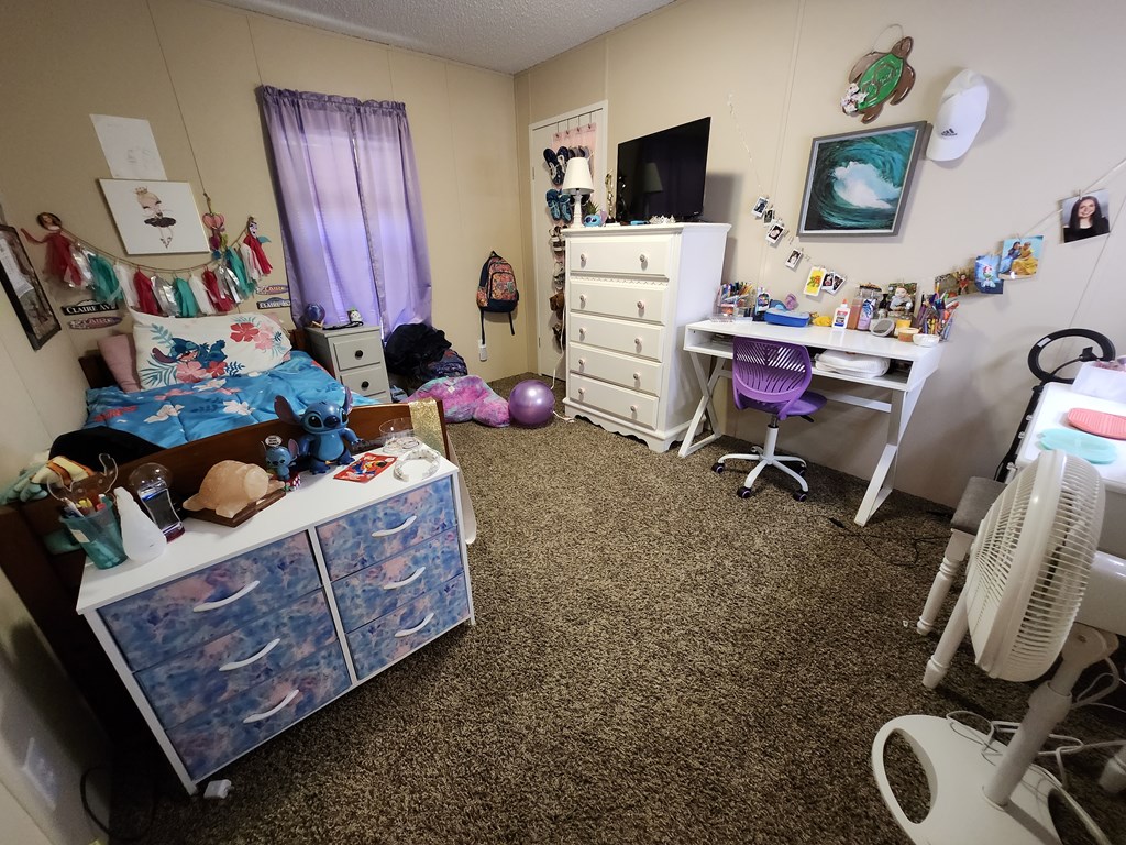 742 County Line Road Buena Vista, GA 31803 - Photo 72 of 74 Gallery Image 72