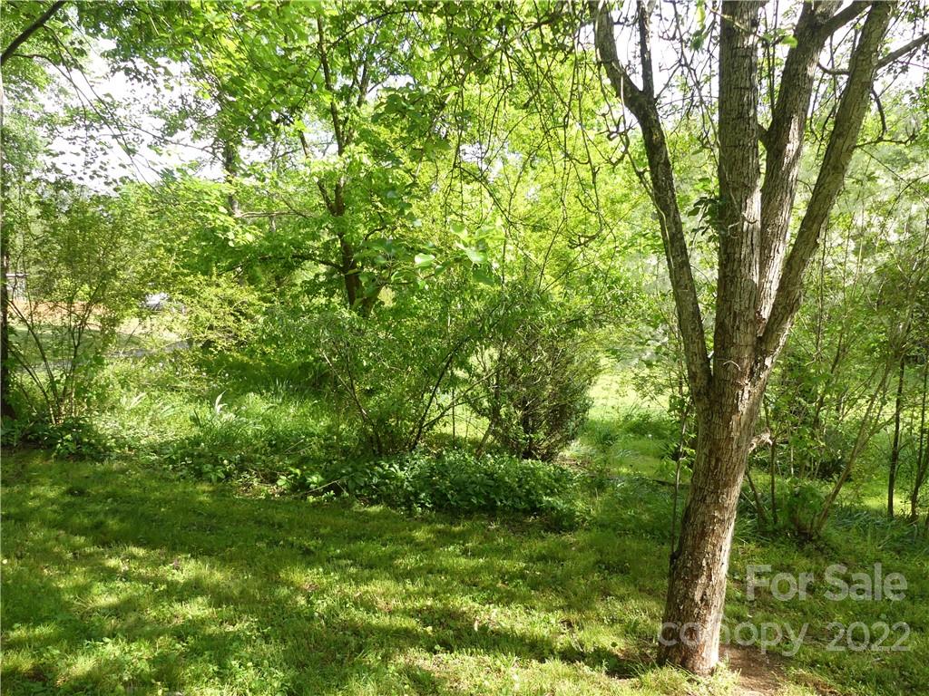 761 Mackey Freeman Road Bostic, NC 28018 - Photo 11 of 11 a view of a lush green forest