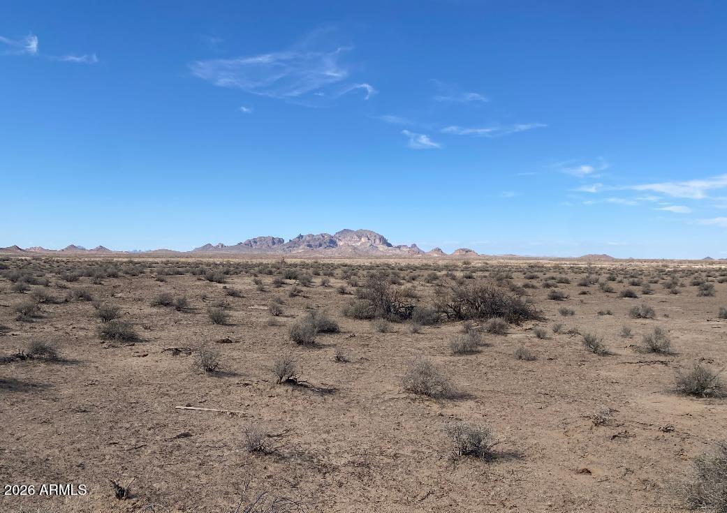 45742 West Narramore Road Tonopah, AZ 85354 - Photo 12 of 15 45742 W Narramore RD