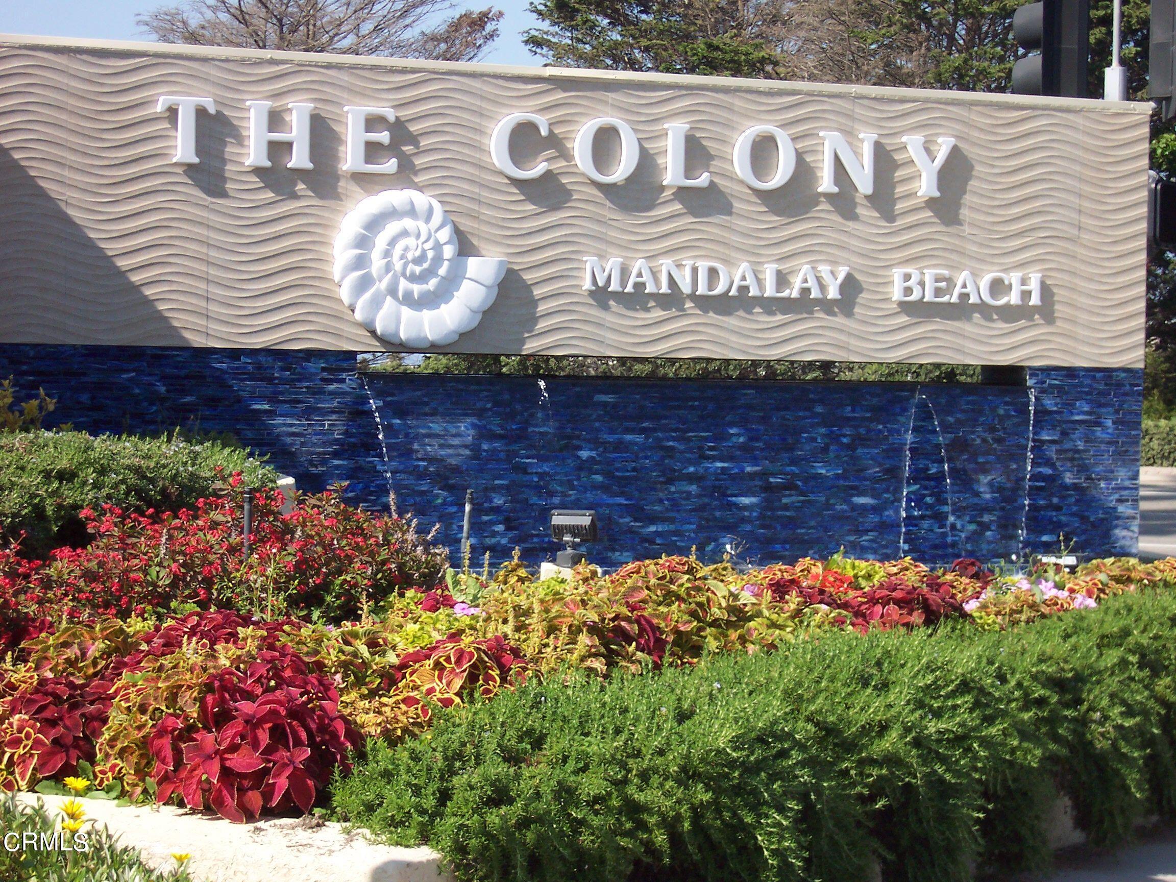 Colony entrance Update