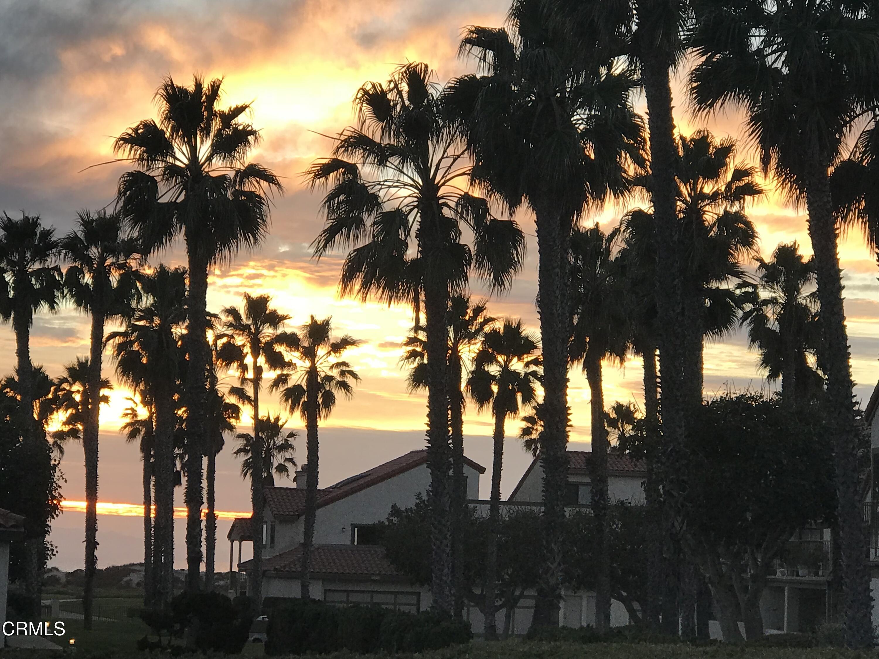 4475 Antigua Way Oxnard, CA 93035 - Photo 30 of 31 Palm trees
