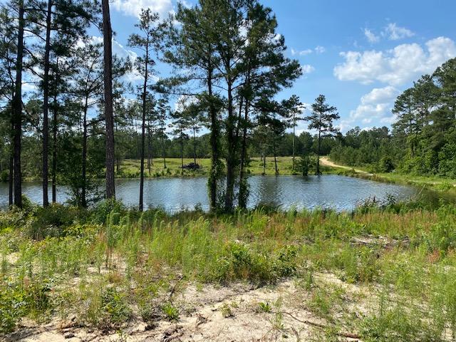 167 Kenric Point Rockingham, NC 28379 - Photo 26 of 28 Waterfront