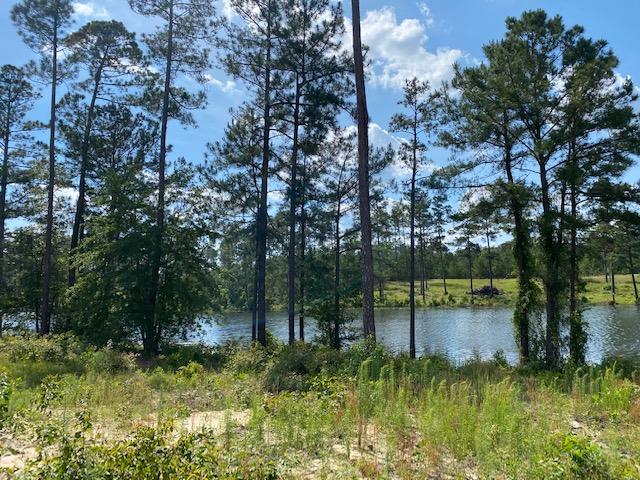 167 Kenric Point Rockingham, NC 28379 - Photo 27 of 28 Waterfront
