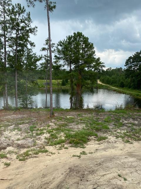 167 Kenric Point Rockingham, NC 28379 - Photo 28 of 28 Waterfront