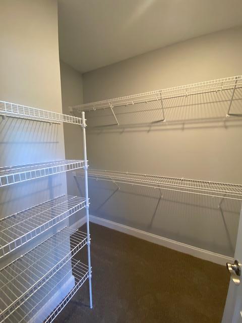 167 Kenric Point Rockingham, NC 28379 - Photo 8 of 28 Master Walk-in Closet
