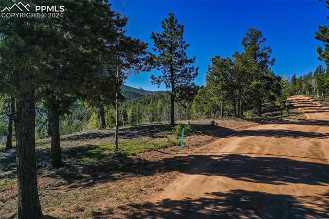 1100 Elk Ridge South Divide, CO 80814 - Photo 25 of 34
