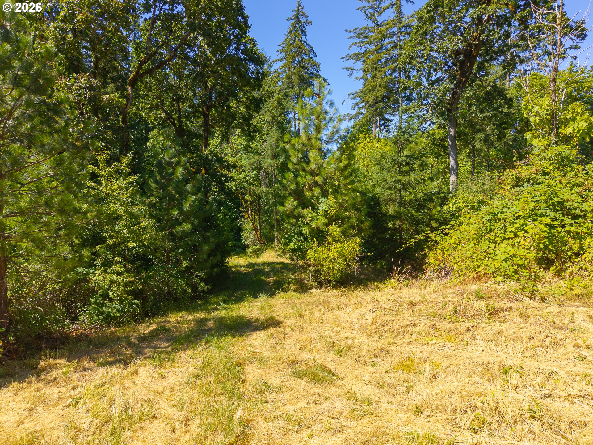 34175 Northeast Wilsonville Road Newberg, OR 97132 - Photo 25 of 46