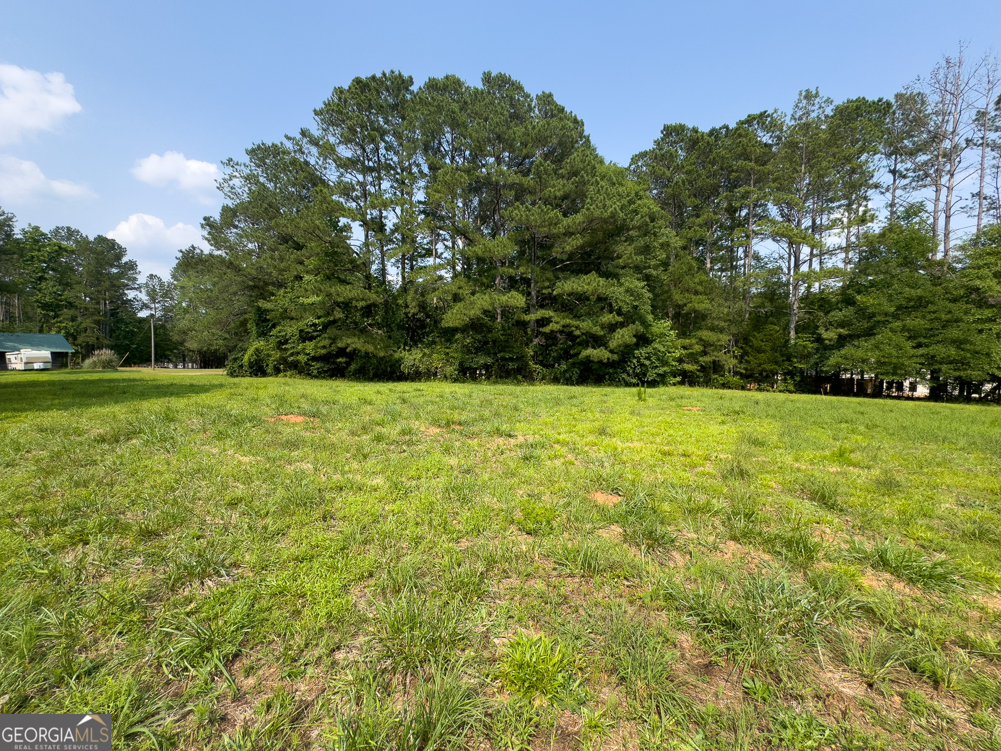 90 Howard Road Senoia, GA 30276 - Photo 11 of 102