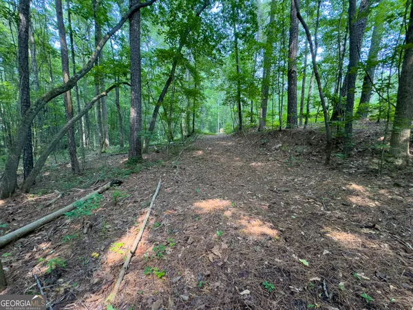 $4,999 | 90 Howard Road, Senoia, GA 30276