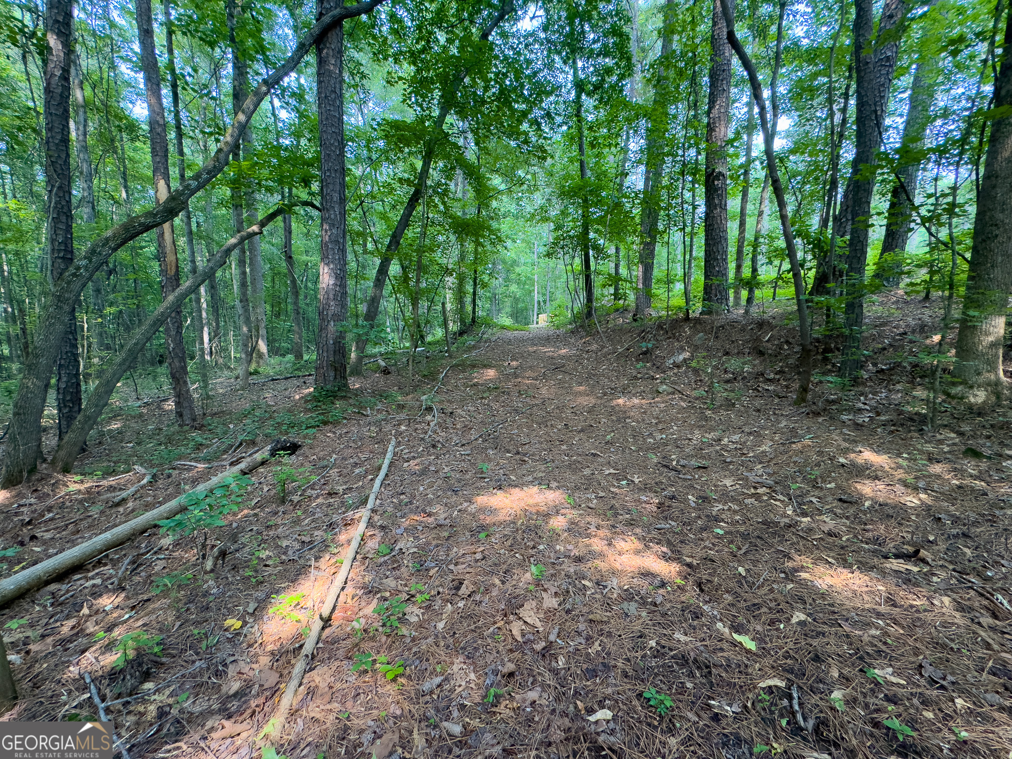 90 Howard Road Senoia, GA 30276 - Photo 15 of 102