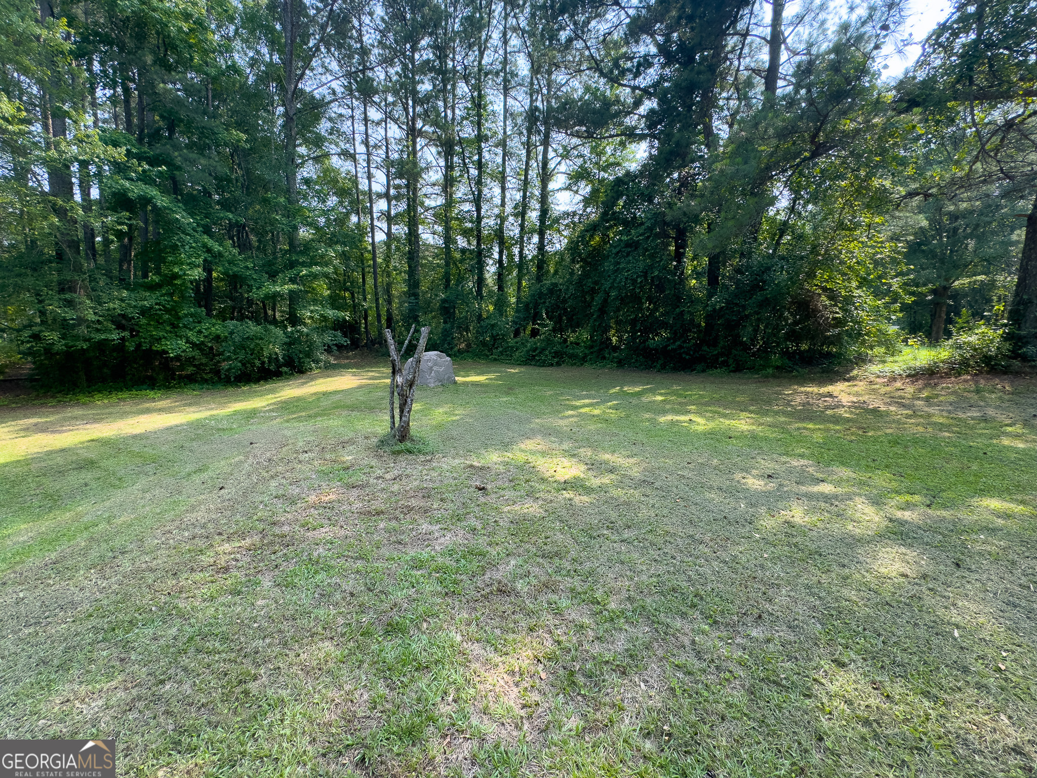 90 Howard Road Senoia, GA 30276 - Photo 25 of 102