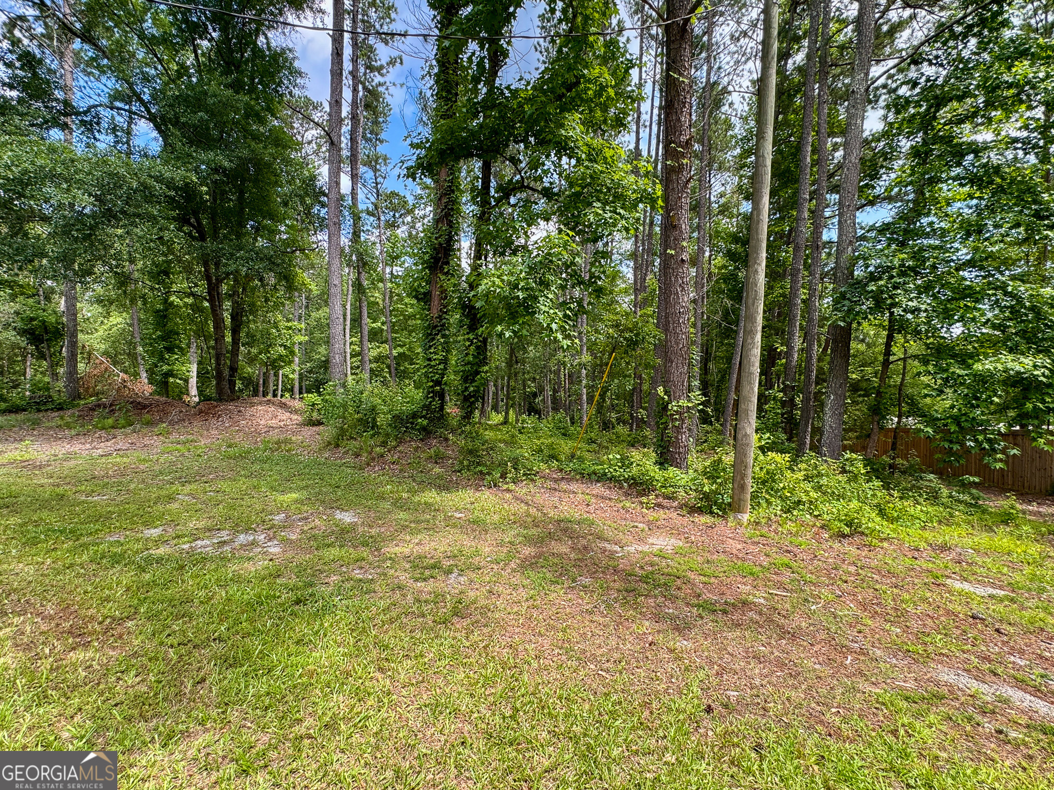 90 Howard Road Senoia, GA 30276 - Photo 27 of 102