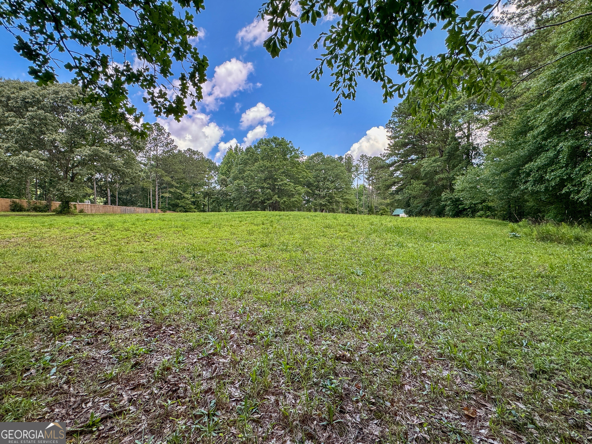 90 Howard Road Senoia, GA 30276 - Photo 34 of 102