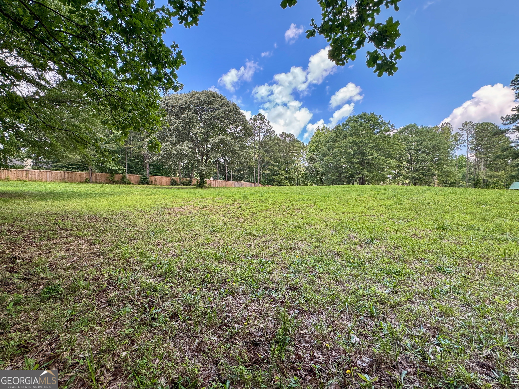 90 Howard Road Senoia, GA 30276 - Photo 35 of 102