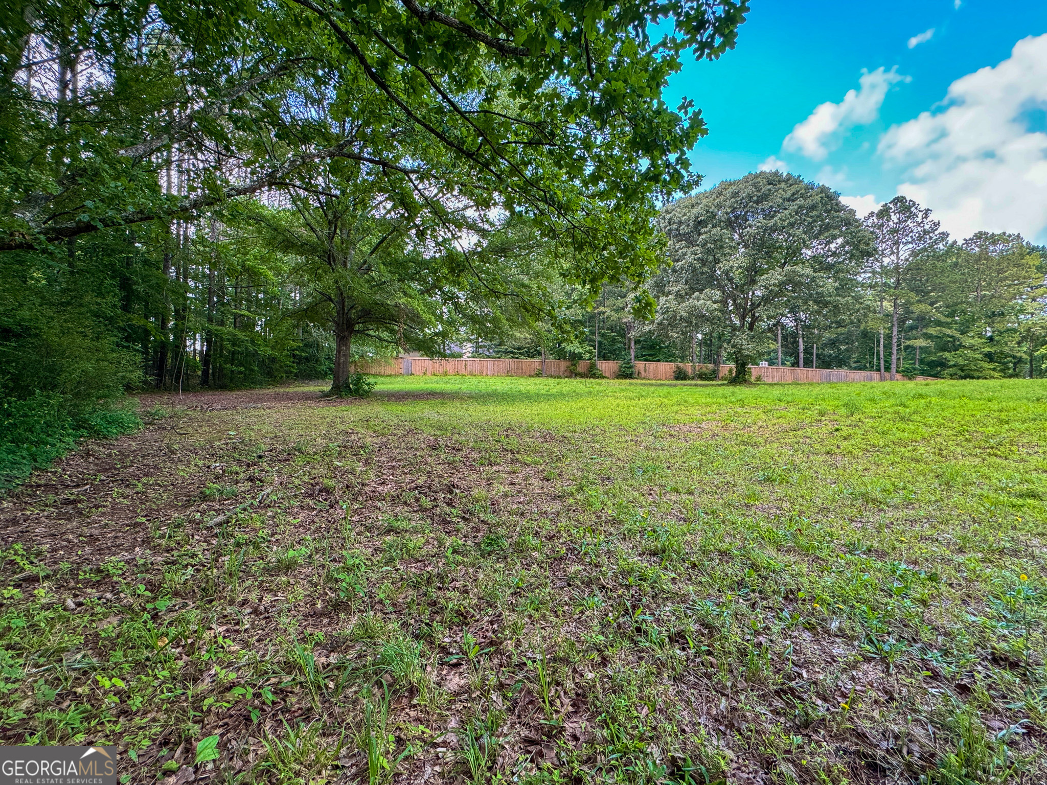 90 Howard Road Senoia, GA 30276 - Photo 36 of 102