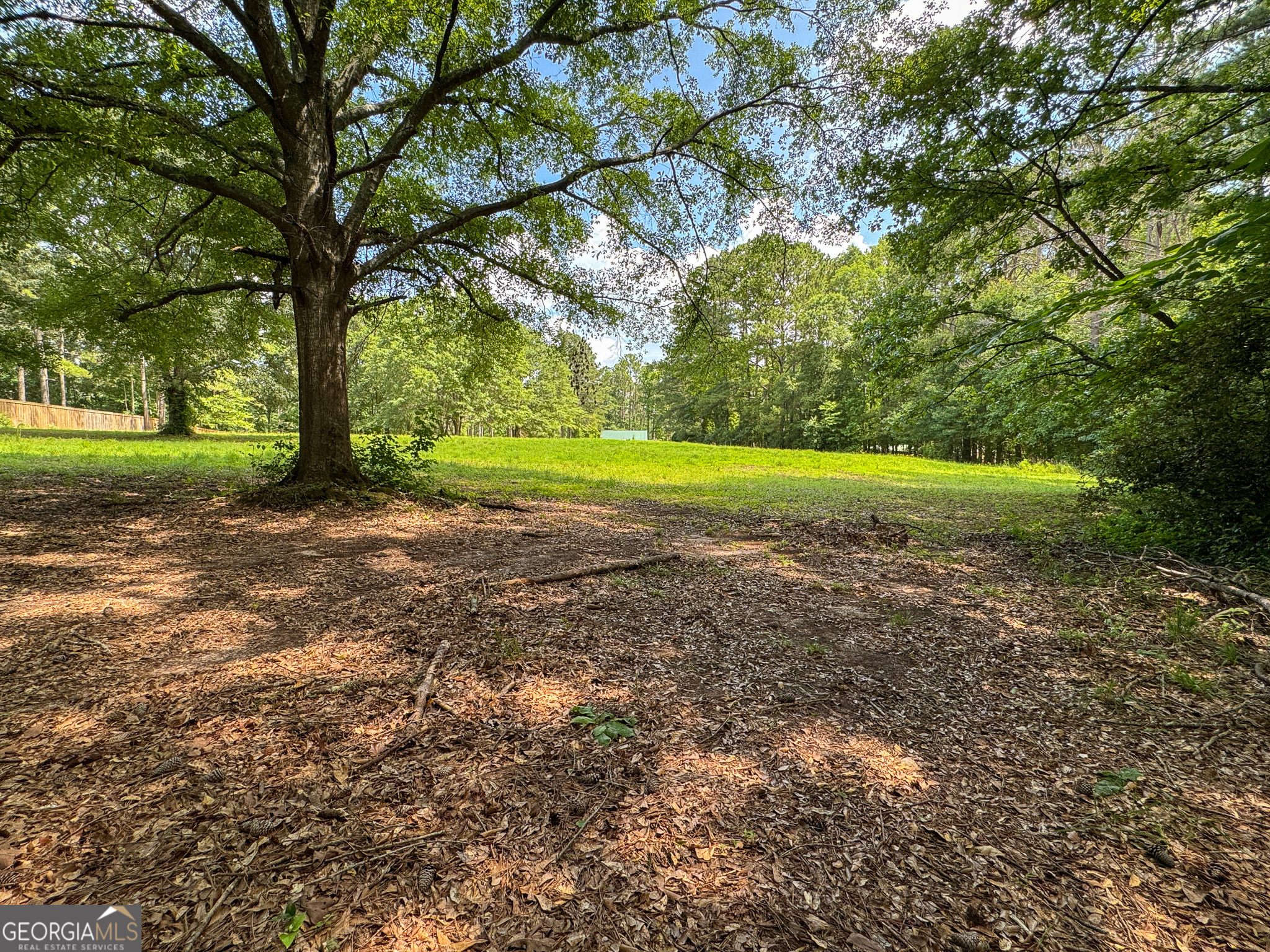 90 Howard Road Senoia, GA 30276 - Photo 37 of 102