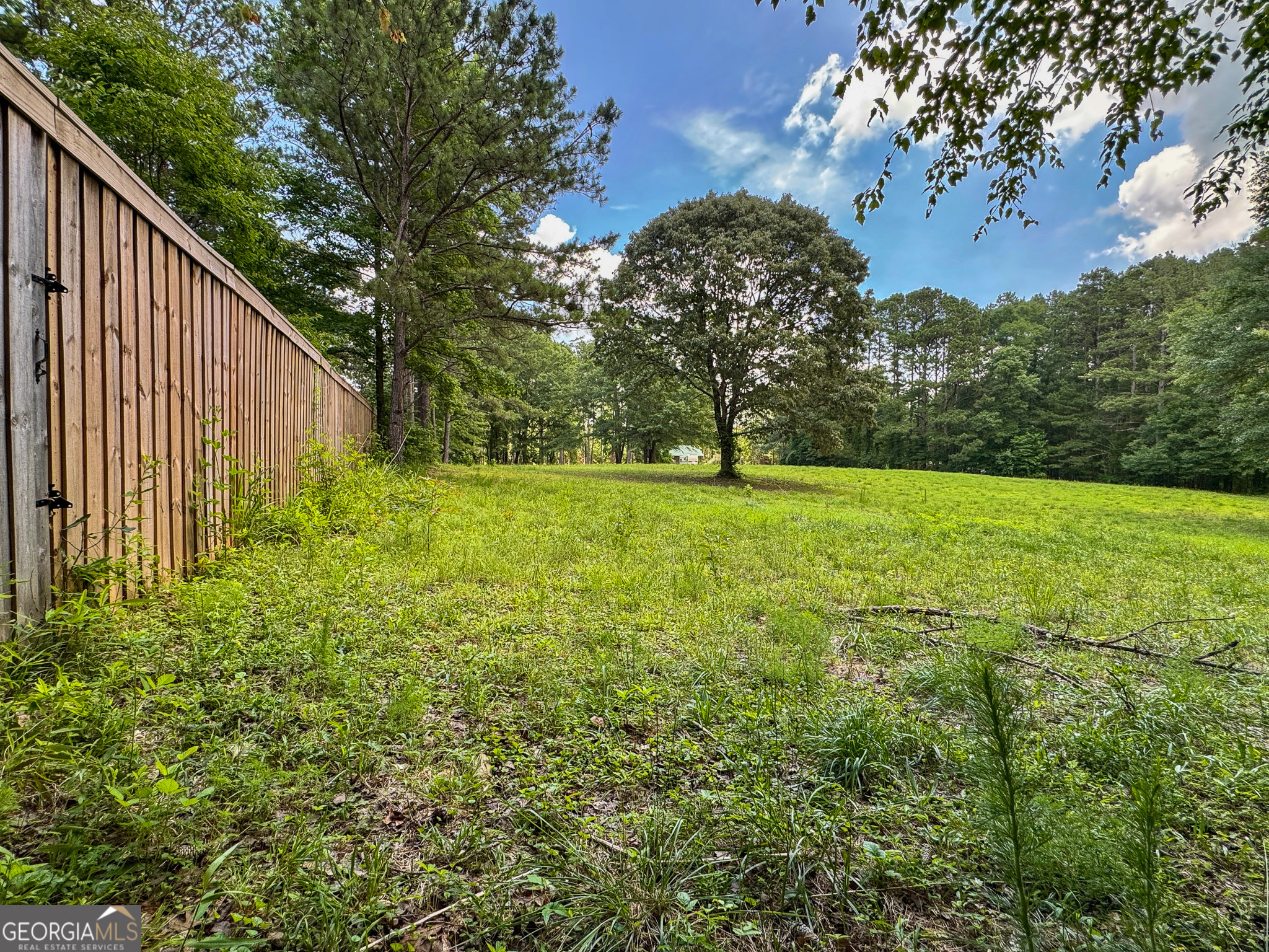 90 Howard Road Senoia, GA 30276 - Photo 38 of 102