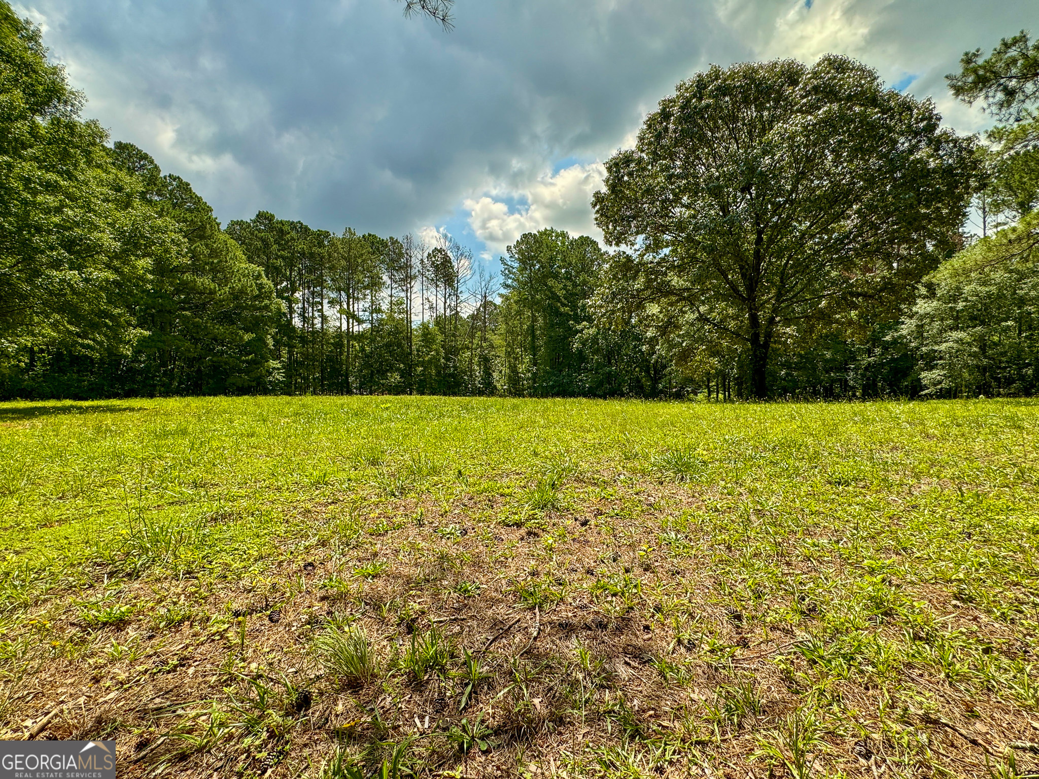 90 Howard Road Senoia, GA 30276 - Photo 39 of 102