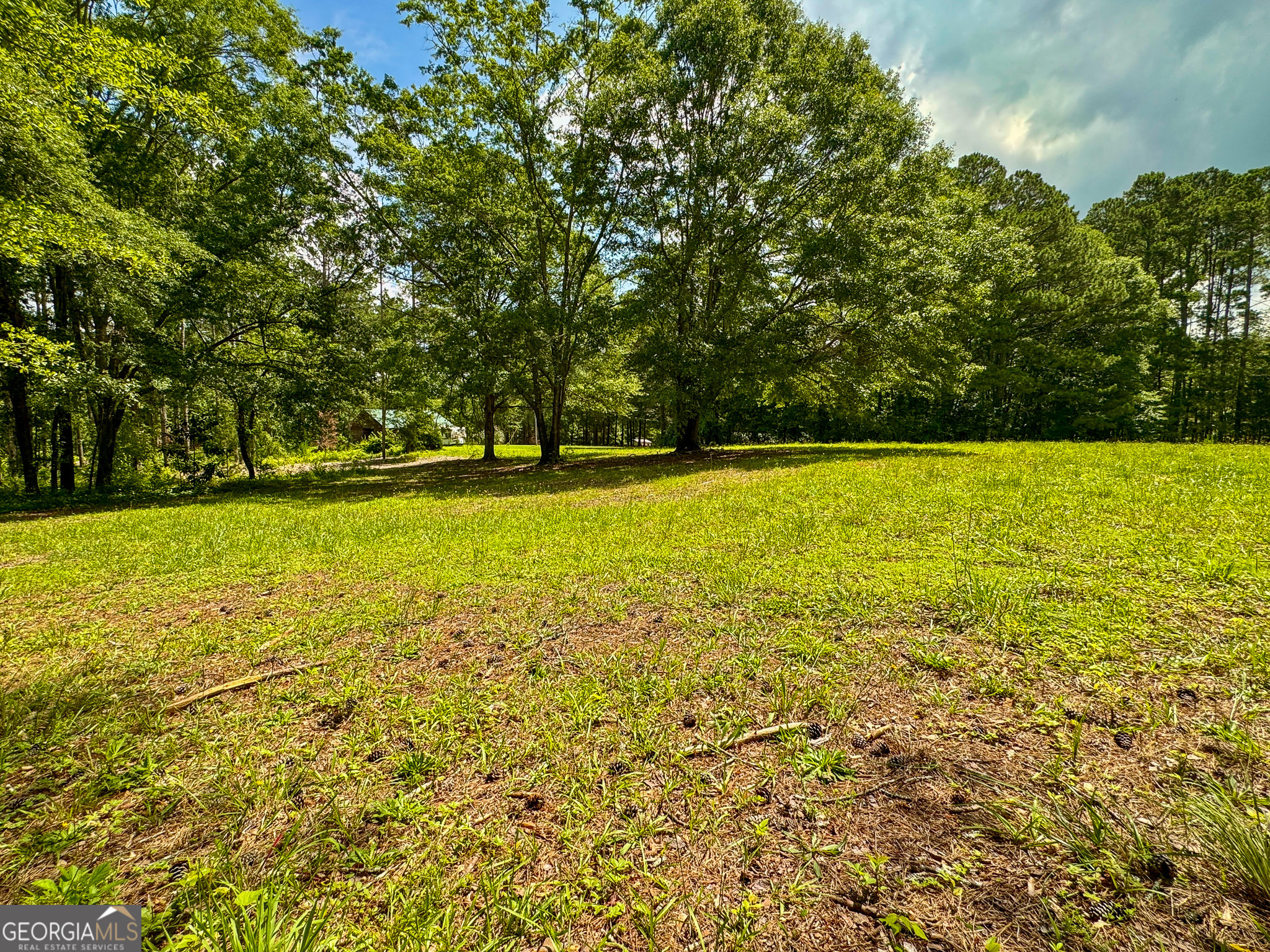 90 Howard Road Senoia, GA 30276 - Photo 40 of 102