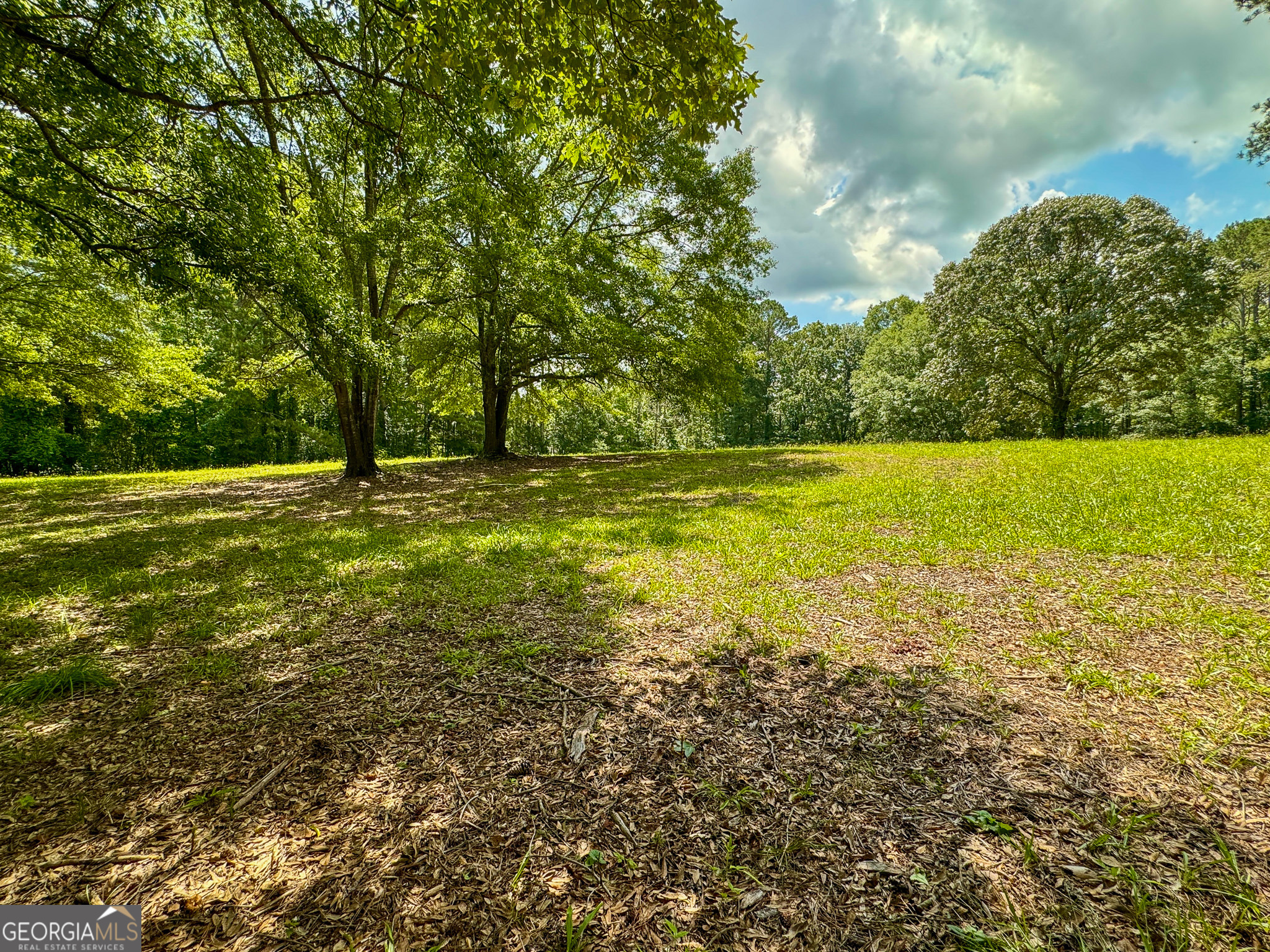 90 Howard Road Senoia, GA 30276 - Photo 41 of 102