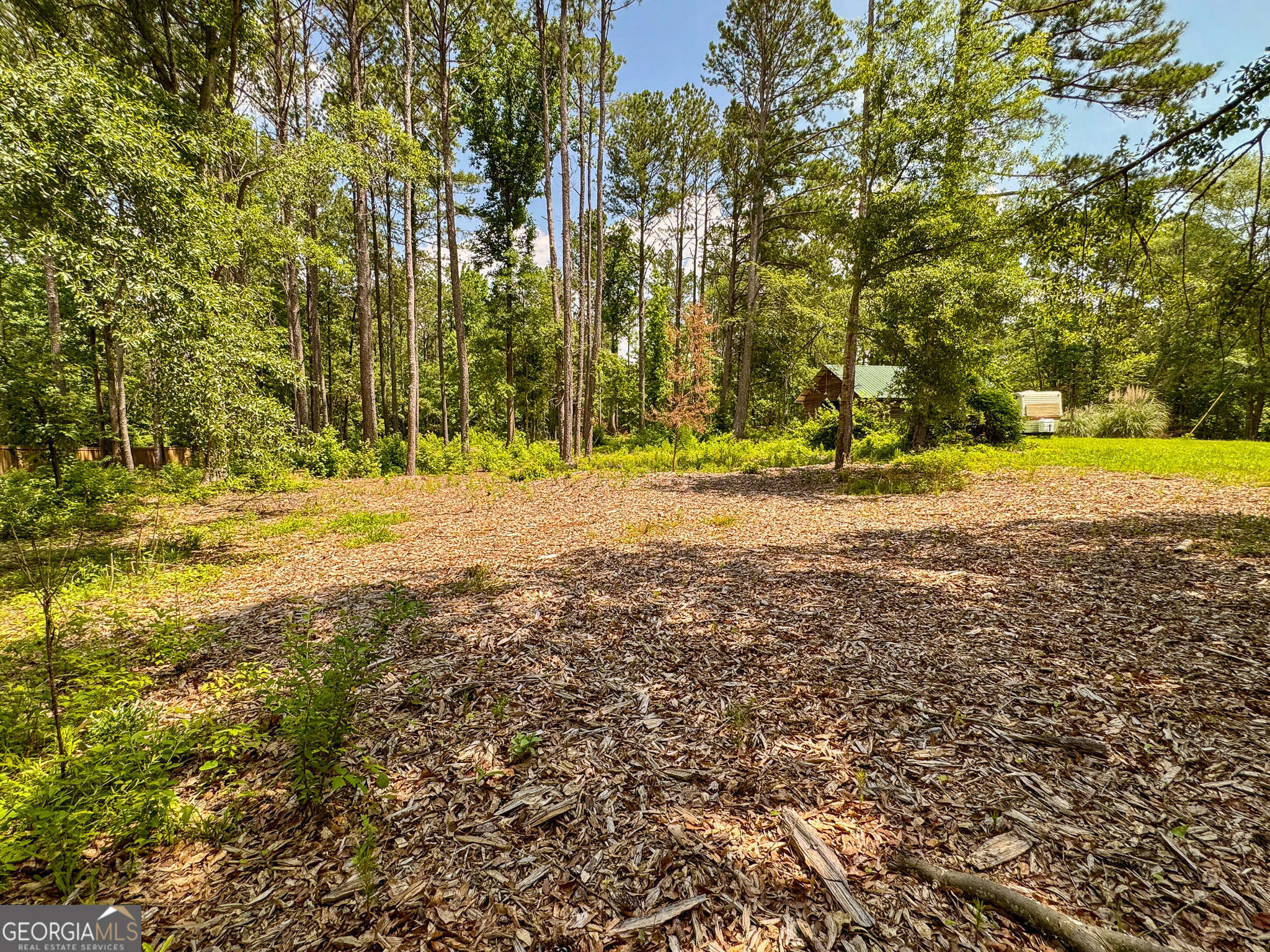 90 Howard Road Senoia, GA 30276 - Photo 42 of 102