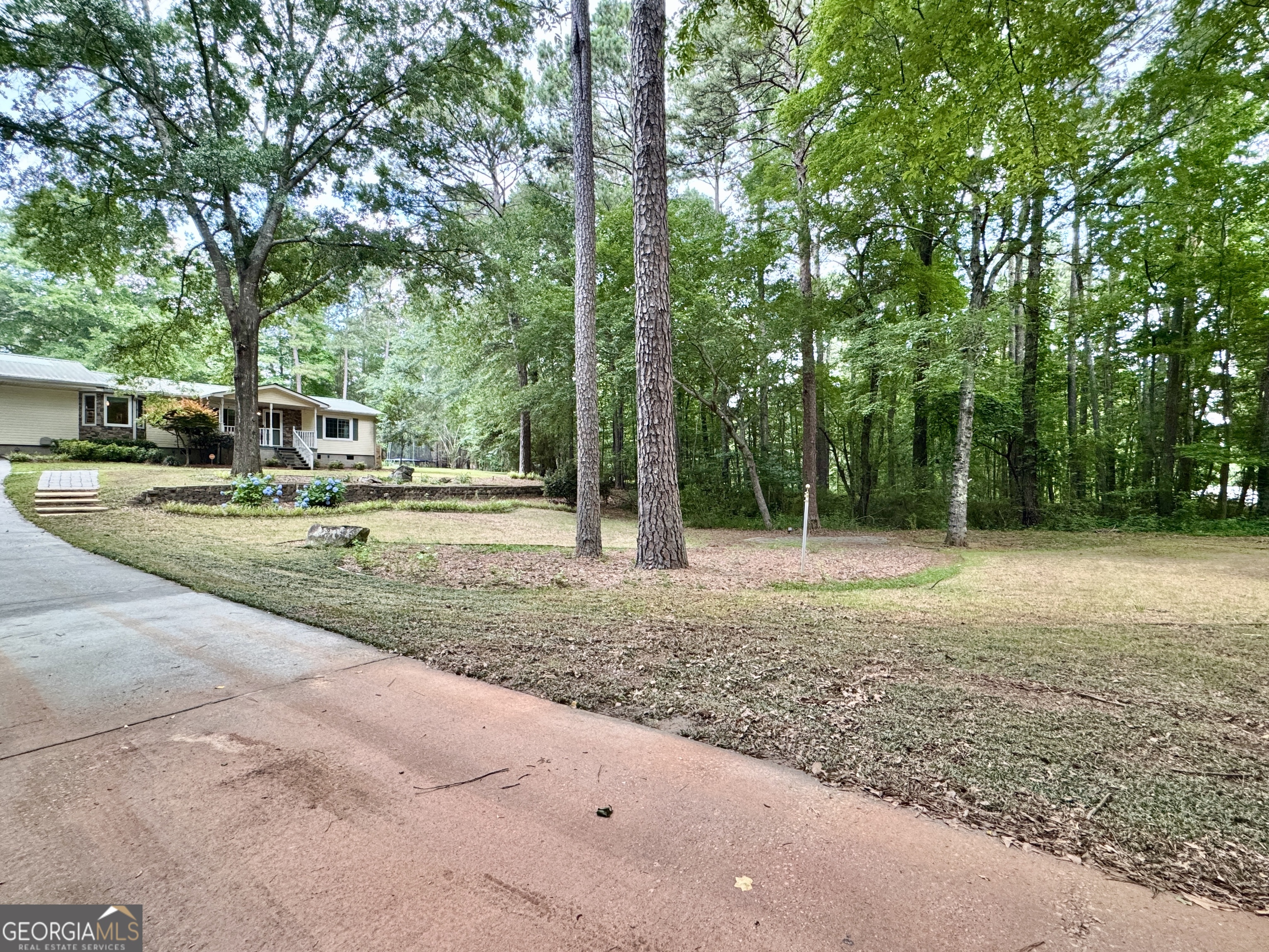 90 Howard Road Senoia, GA 30276 - Photo 46 of 102