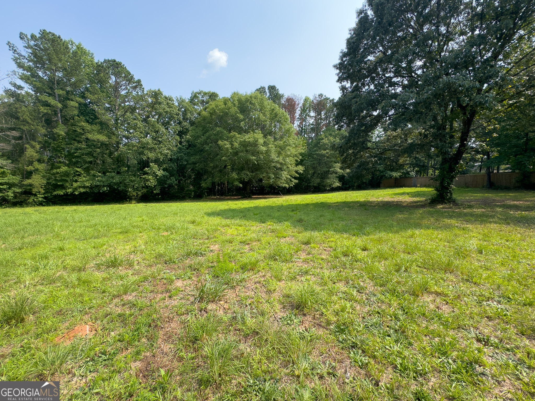90 Howard Road Senoia, GA 30276 - Photo 8 of 102