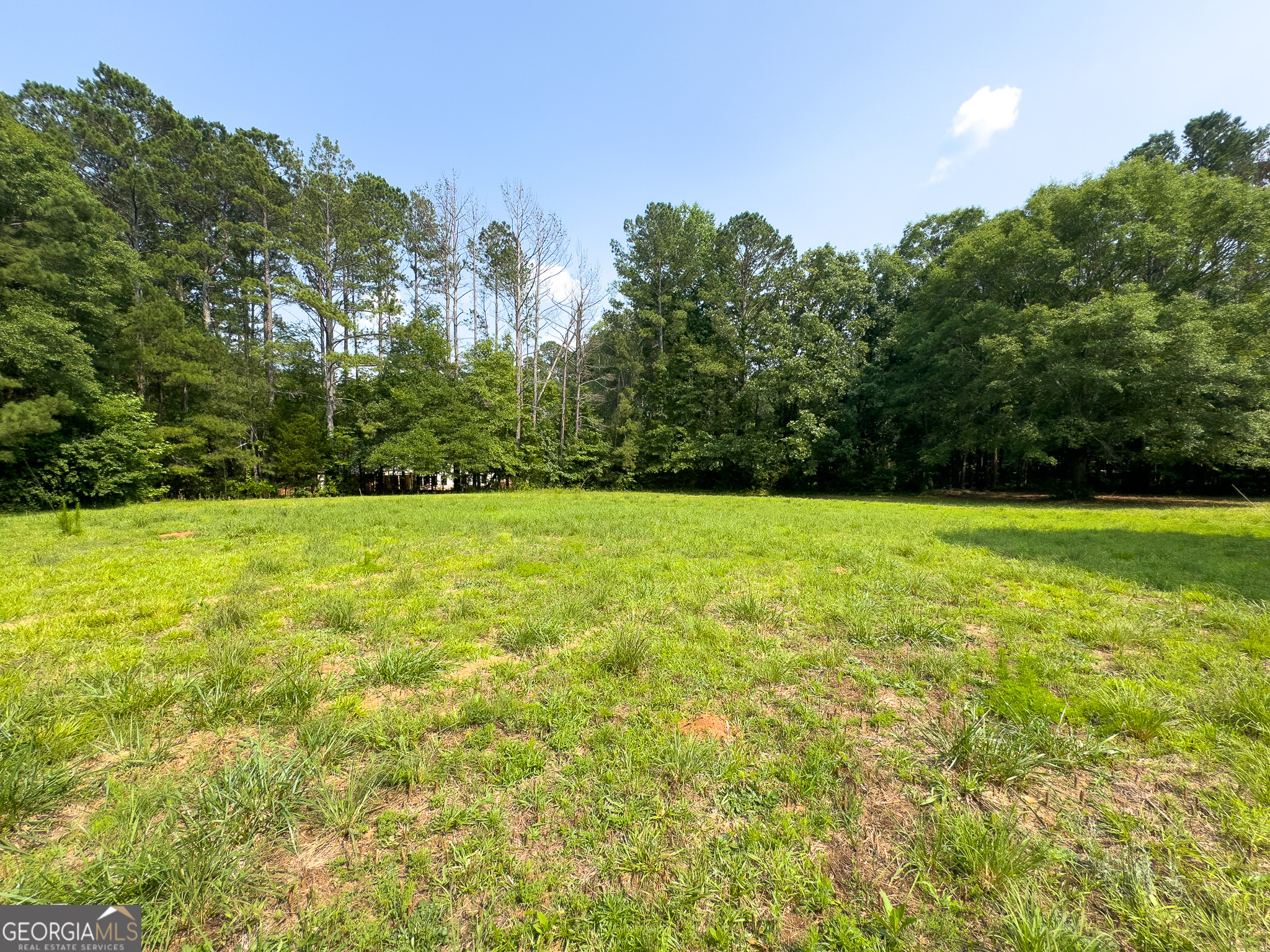 90 Howard Road Senoia, GA 30276 - Photo 9 of 102