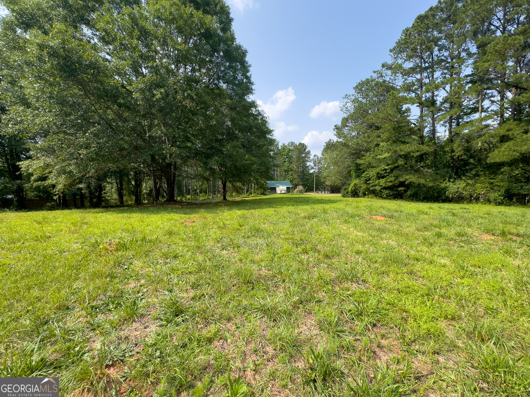 90 Howard Road Senoia, GA 30276 - Photo 10 of 102