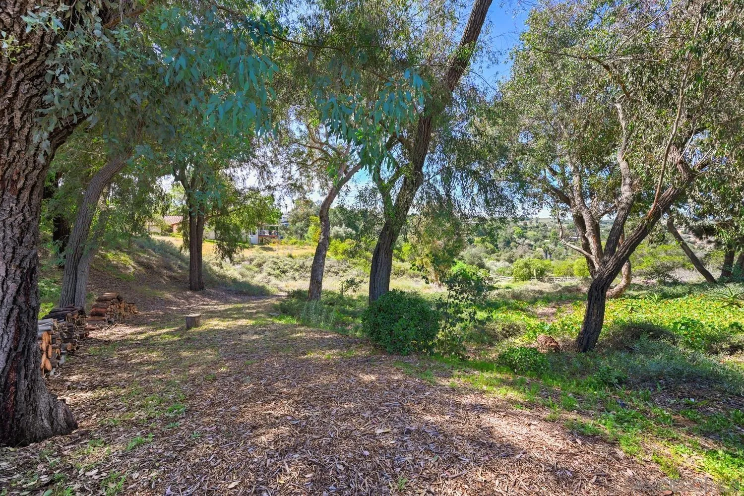 1282 Olive Avenue Fallbrook, CA 92028 - Photo 39 of 55