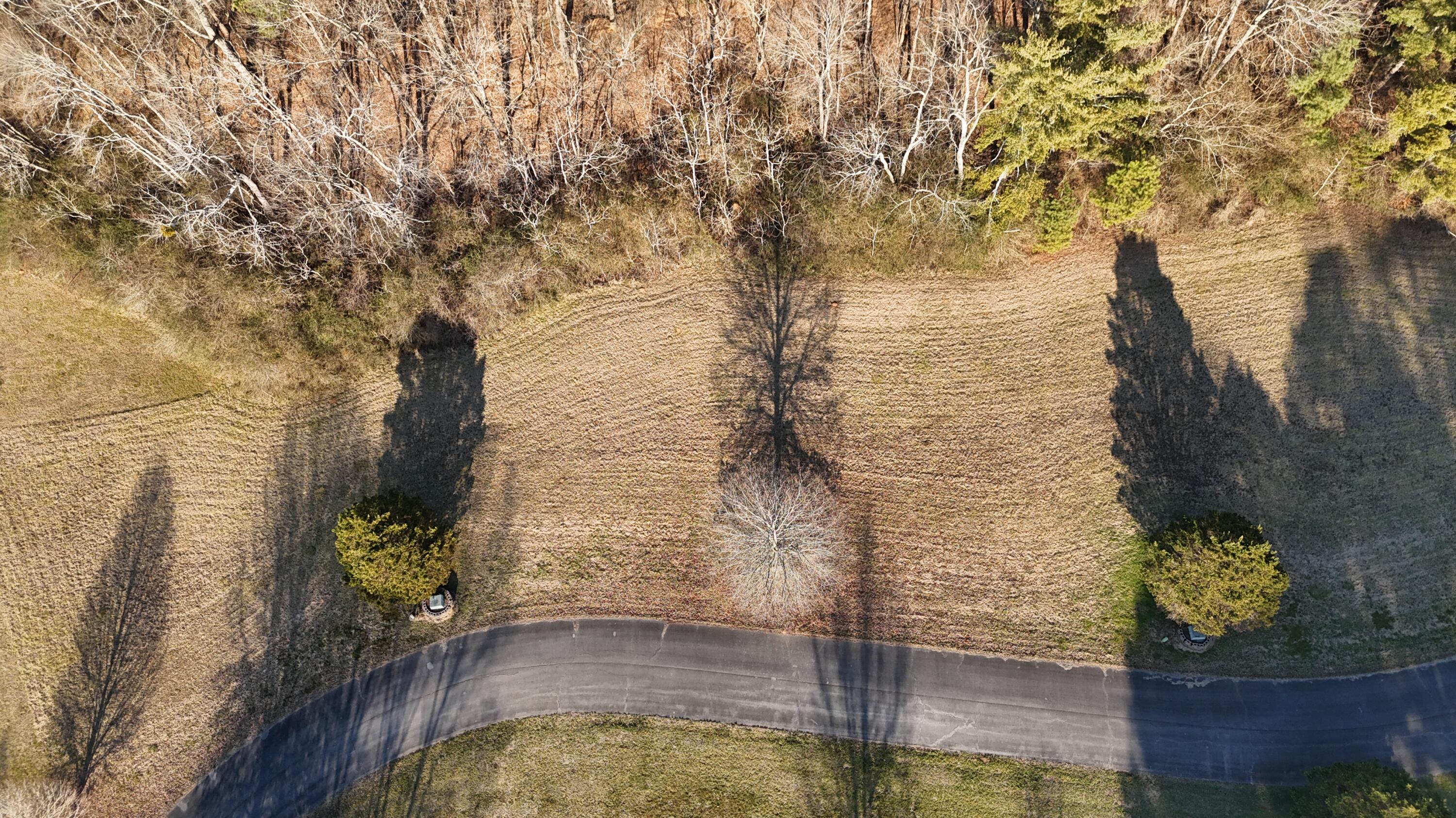 109 Tadpole Lane Benton, TN 37307 - Photo 12 of 48 dji_fly_20260209_164054_0104_17706753540