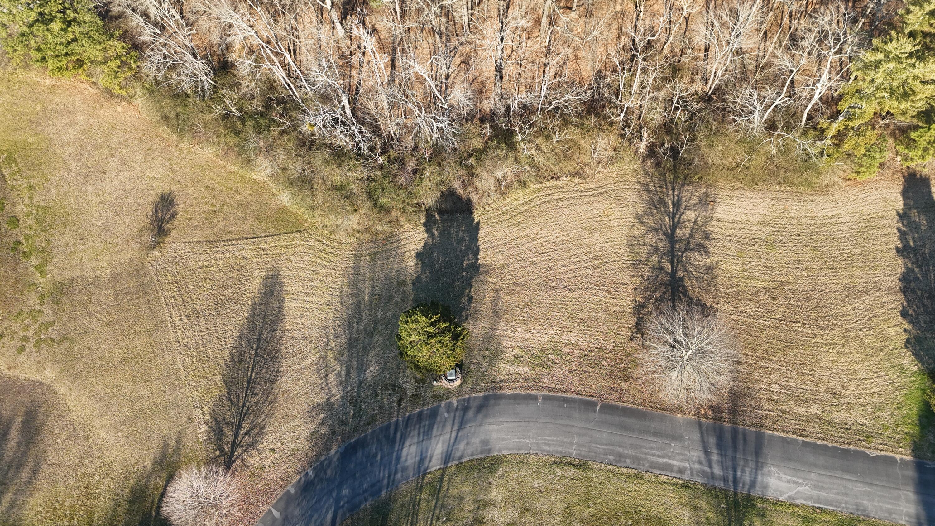 109 Tadpole Lane Benton, TN 37307 - Photo 13 of 48 dji_fly_20260209_164056_0105_17706753505